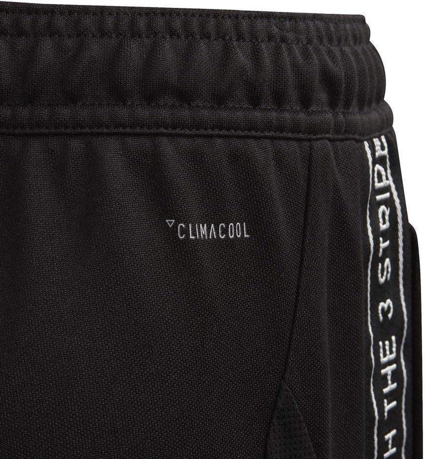 image:imageadidas Boys Tiro 19 Training PantsBlack