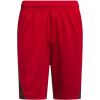 Team Power Red /Black