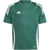 Team Dark Green/White