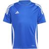 Team Royal Blue/White