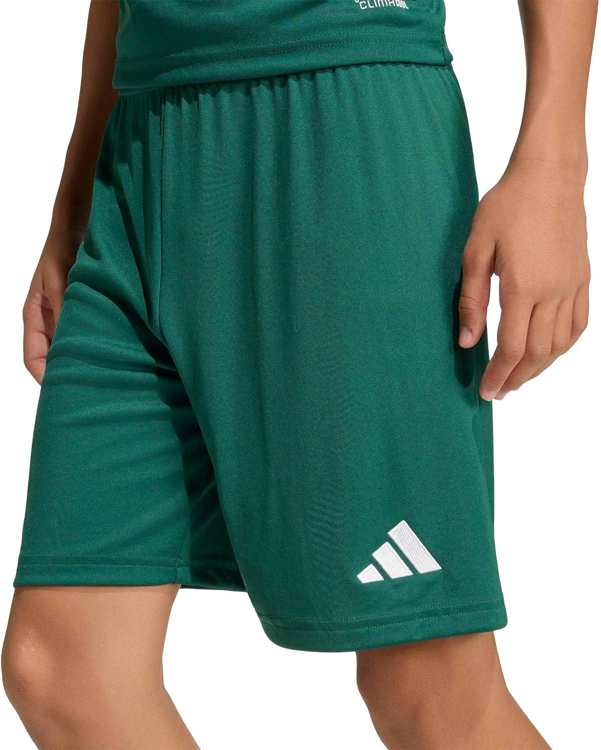 image:imageadidas UnisexChild Entrada 26 ShortsTeam Dark GreenWhite