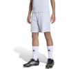 Team Light Grey/White