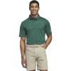 Collegiate Green  White