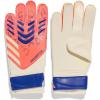 Signal Coral/White/Lucid Blue