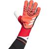 Lucid Red/Black/White