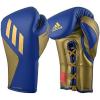 Blue/Gold