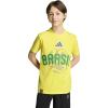 Bright Yellow/Brazil