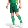 Team Dark Green/White