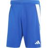 Team Royal Blue/White