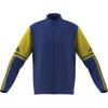 Team Royal Blue/Team Yellow
